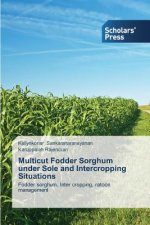 Multicut Fodder Sorghum Under Sole and Intercropping Situations