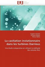 Cavitation Instationnaire Dans Les Turbines Darrieus