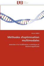 Methodes d'optimisation multimodales