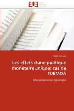 Les Effets d''une Politique Mon taire Unique