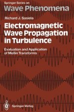 Electromagnetic Wave Propagation in Turbulence