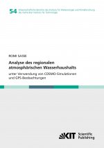 Analyse des regionalen atmospharischen Wasserhaushalts unter Verwendung von COSMO-Simulationen und GPS-Beobachtungen
