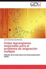Cotas Lagrangianas Mejoradas Para El Problema de Asignacion Multiple