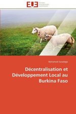 Decentralisation et developpement local au burkina faso