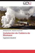 Instalacion de Caldera de Biomasa