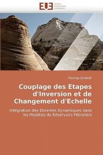 Couplage Des Etapes d''inversion Et de Changement d''echelle