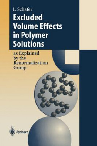 Excluded Volume Effects in Polymer Solutions