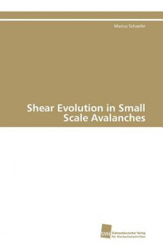 Shear Evolution in Small Scale Avalanches