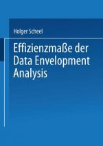 Effizienzma e Der Data Envelopment Analysis