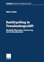 Bonit tspr fung Im Firmenkundengesch ft