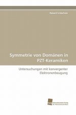 Symmetrie Von Domanen in Pzt-Keramiken