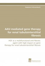 Aav-Mediated Gene Therapy for Renal Tubulointerstitial Fibrosis