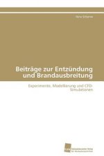 Beitrage zur Entzundung und Brandausbreitung