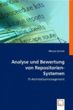 Analyse und Bewertung von Repositorien-Systemen