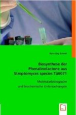 Biosynthese der Phenalinolactone aus Streptomyces species Tü6071