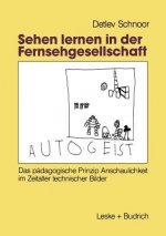 Sehen Lernen in Der Fernsehgesellschaft