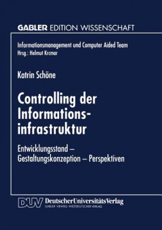 Controlling Der Informationsinfrastruktur