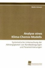 Analyse eines Klima-Chemie-Modells