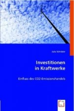 Investitionen in Kraftwerke