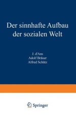 Der Sinnhafte Aufbau Der Sozialen Welt