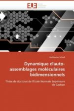 Dynamique d'auto-assemblages moléculaires bidimensionnels
