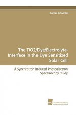 Tio2/Dye/Electrolyte- Interface in the Dye Sensitized Solar Cell