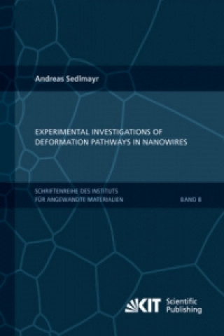 Experimental Investigations of Deformation Pathways in Nanowires