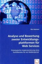 Analyse und Bewertung zweier Entwicklungsplattformen für Web Services