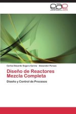 Diseno de Reactores Mezcla Completa