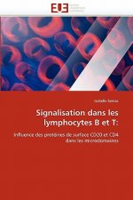 Signalisation Dans Les Lymphocytes B Et T
