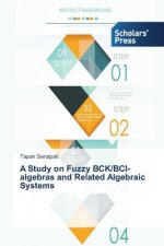 Study on Fuzzy Bck/Bci-Algebras and Related Algebraic Systems