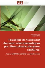 Faisabilite de traitement des eaux usees domestiques par filtres plantes d'especes utilitaires