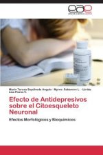 Efecto de Antidepresivos sobre el Citoesqueleto Neuronal