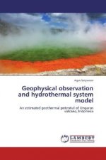 Geophysical observation and hydrothermal system model
