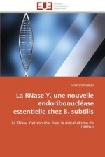 La Rnase Y, Une Nouvelle Endoribonucl ase Essentielle Chez B. Subtilis