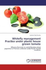 Whitefly management Practice under plastic house grown tomato