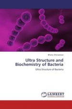 Ultra Structure and Biochemistry of Bacteria