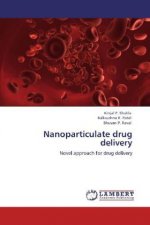 Nanoparticulate drug delivery