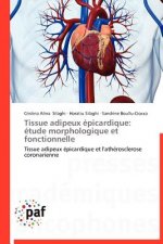 Tissue Adipeux Epicardique