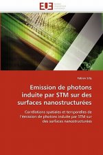 Emission de Photons Induite Par STM Sur Des Surfaces Nanostructur es