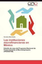 Instituciones Microfinancieras En Mexico