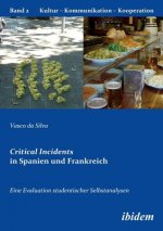 Critical Incidents in Spanien und Frankreich. Eine Evaluation studentischer Selbstanalysen.