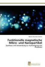 Funktionelle magnetische Mikro- und Nanopartikel