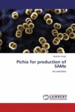 Pichia for production of SAMe