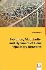 Evolution, Modularity, and Dynamics of Gene Regulatory Networks