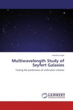 Multiwavelength Study of Seyfert Galaxies