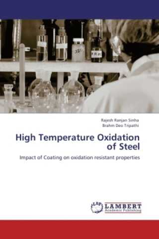 High Temperature Oxidation of Steel