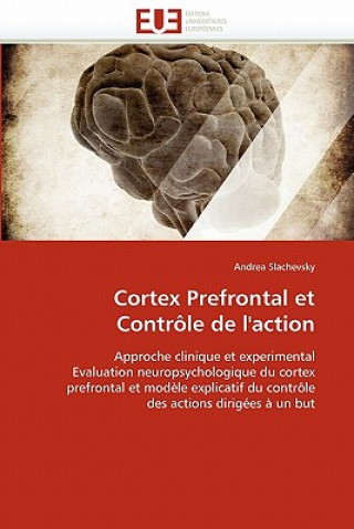 Cortex Prefrontal Et Contr le de l''action