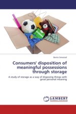 Consumers' disposition of meaningful possessions through storage