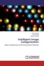 Intelligent Image Categorization
